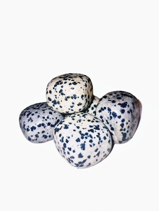 Dalmation jasper tumbles