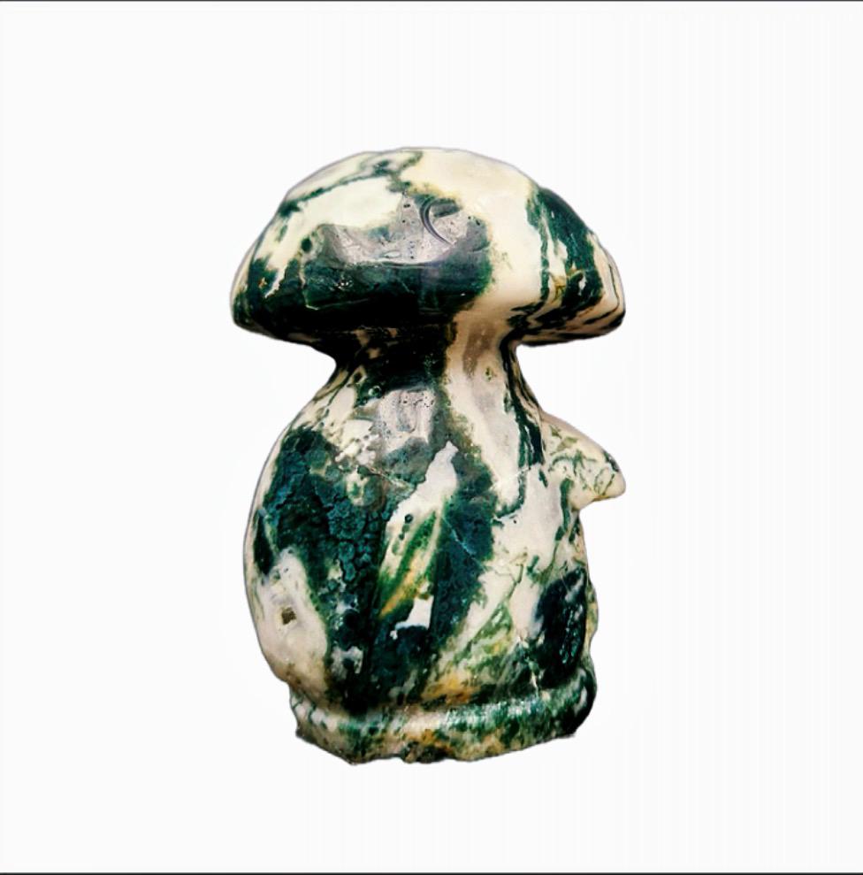 Moss Agate mushrooms