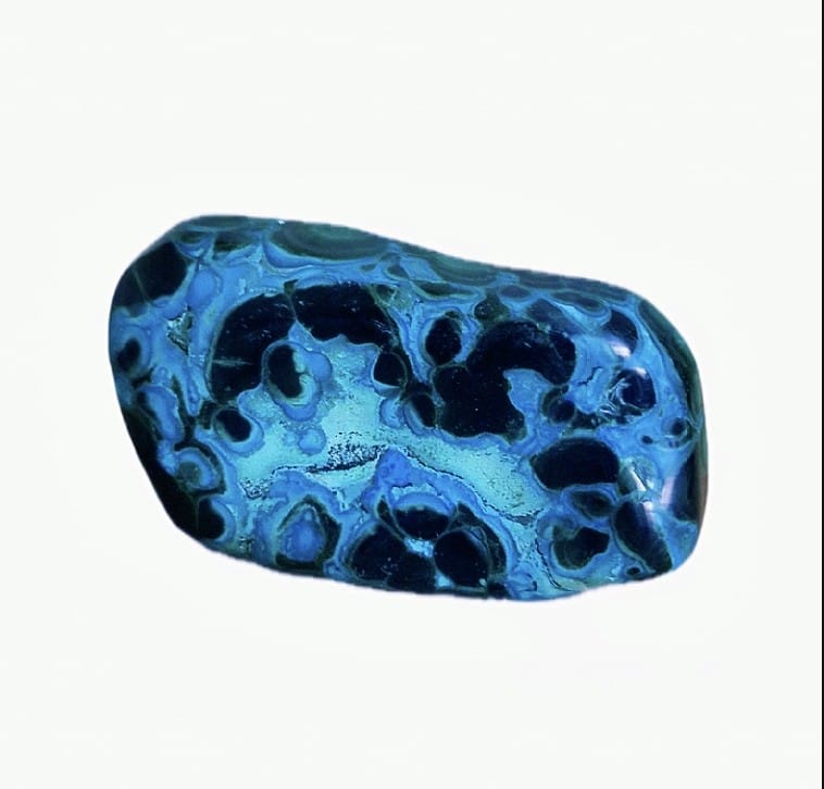 Malacholla