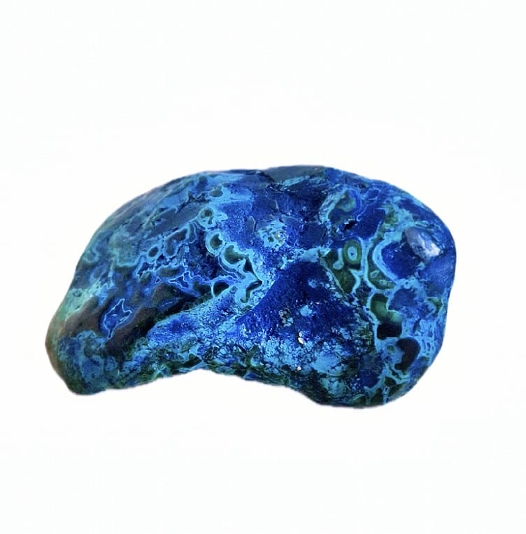 Malacholla